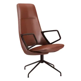 Zuma armchair legged by artifort